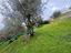 Immagine 9