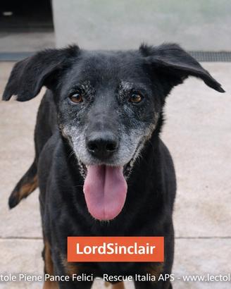 LordSinclair
