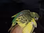 Immagine 6