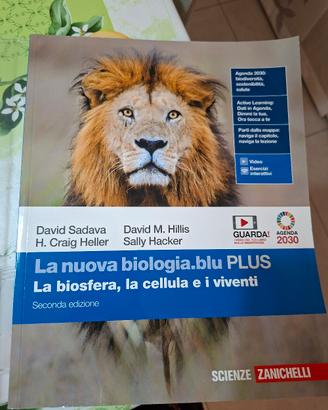 libri 