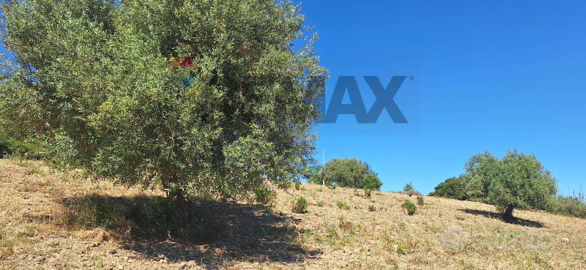 Terreno - Noto - Vista 2