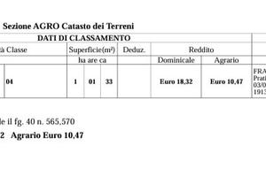 Terreno di più di un ettaro,taniga, indice 0,03