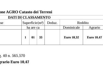 Terreno di più di un ettaro,taniga, indice 0,03