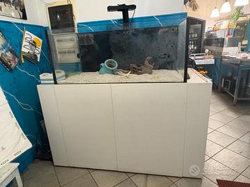 Acquario  grande