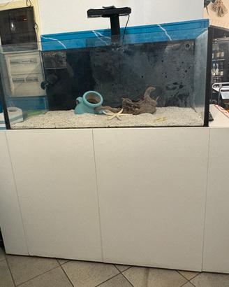 Acquario  grande