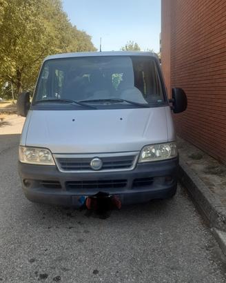 Ramo d'azienda  Ncc a Forlì 