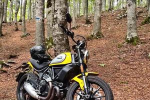 Ducati Scrambler 800 Icon 2022 Gialla 9500km