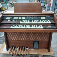 Organo Eko made in Italy
