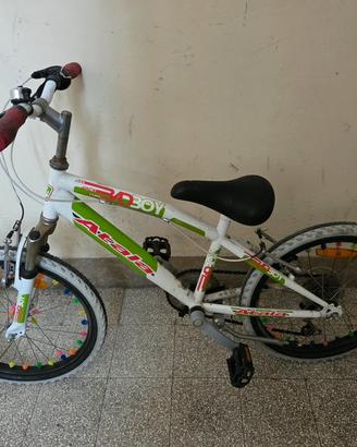 Bicicletta 20 pollici