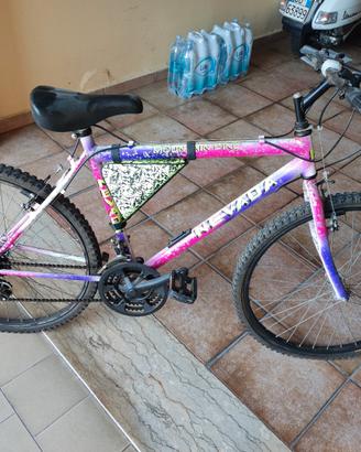 Bicicletta ragazza/donna 