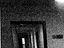 Immagine 15
