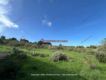 Terreno, Termini Imerese.