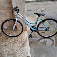 Bicicletta Gianni Bugno Streamer