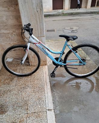 Bicicletta Gianni Bugno Streamer