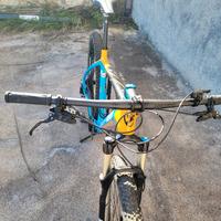 MTB TORPADO 29 CARBONIO