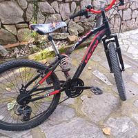 2 biciclette misura 24