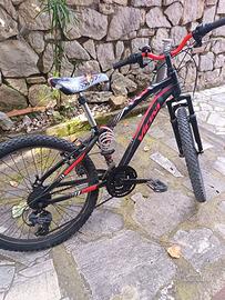 2 biciclette misura 24