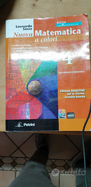Nuova Matematica a colori 4
