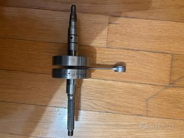 Albero stage 6 c44