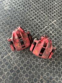 pinze anteriori punto gt