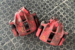 pinze anteriori punto gt