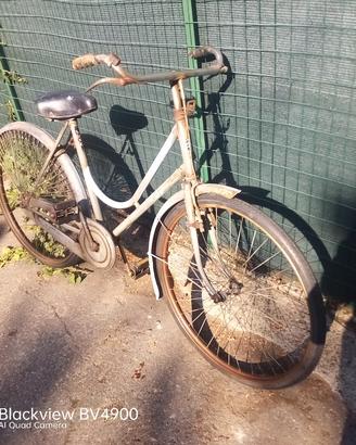 bici donna    con freni a stecca