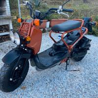 Honda Zoomer 50