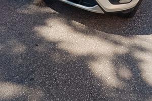 Ford kuga 2019