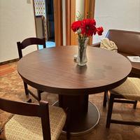 Tavolo allungabile + sedie