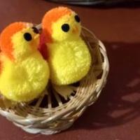 15 mini-cestini con pulcini, in peluche.