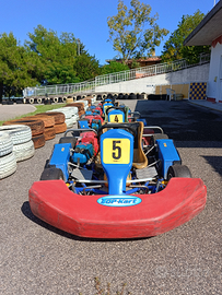 Vendita flotta Go- - Kart