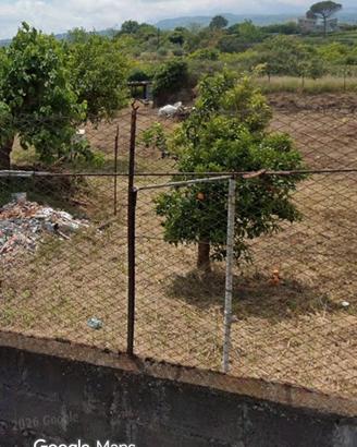 Terreno agricolo