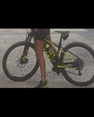 Bicicletta