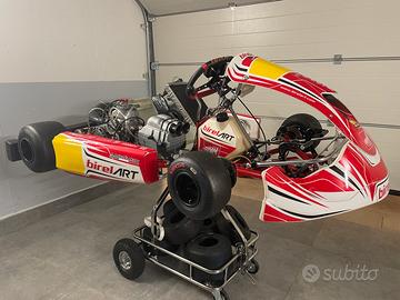 GO KART BIREL S14 EVO