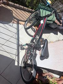 Bicicletta bimbo