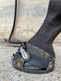 Scarpette CALIGAMAX  per cavalli e muli