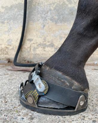 Scarpette CALIGAMAX  per cavalli e muli