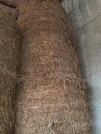 Fieno per cavalli/capre in balloni