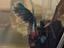 Immagine 6