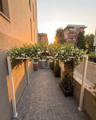 Carport, gazebi, tettoie