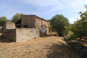 RUSTICO A CAMEROTA