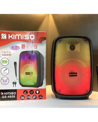 cassa bluetooth karaoke 