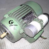 Motori elettrici "Carpanelli"