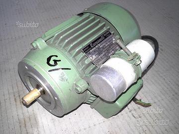 Motori elettrici "Carpanelli"