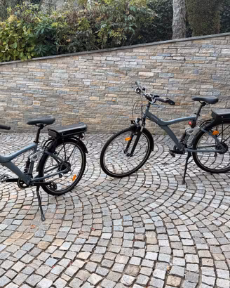 Coppia di Biciclette elettriche - Bici trekking