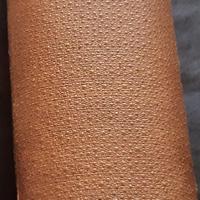 CODICE DEL DIRITTO PUBBLICO ECCLESIASTICO 1887