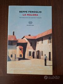 Beppe fenoglio la malora