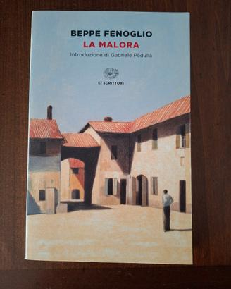 Beppe fenoglio la malora