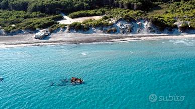 Serra Alimini 1 - Bilocale con giardino - giugno