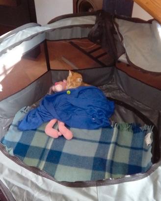 Recinto portatile per animali domestici